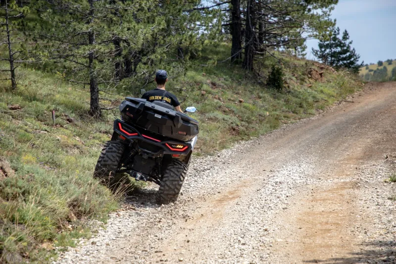 Eyes on the Trail: A Real-World Guide to Wildlife Encounters Off-Roaders Actually Face